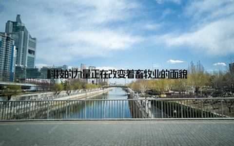 科技的力量正在改变着畜牧业的面貌