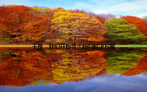 于是, 我们开始寻求新的解决方案