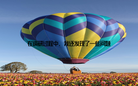 在调研过程中, 我还发现了一些问题