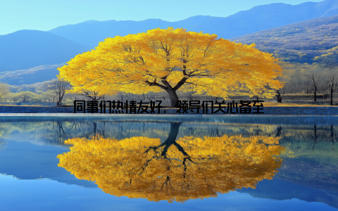 同事们热情友好, 领导们关心备至