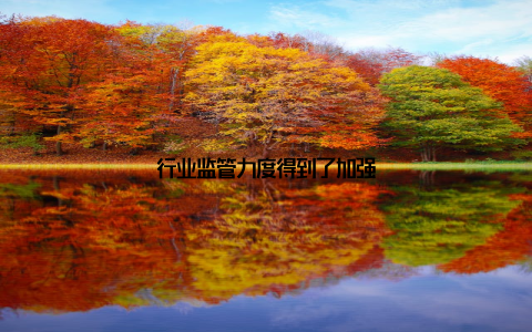 行业监管力度得到了加强