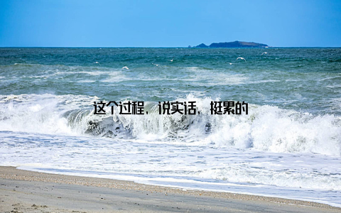 这个过程, 说实话, 挺累的