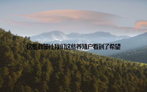 这些政策让我们这些养殖户看到了希望