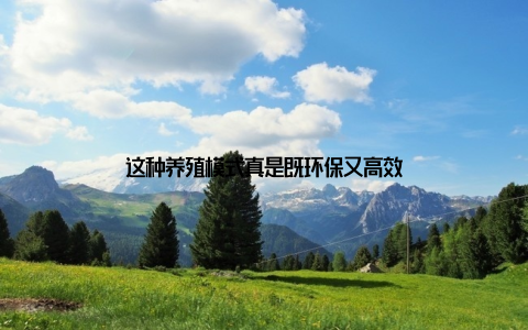 这种养殖模式真是既环保又高效