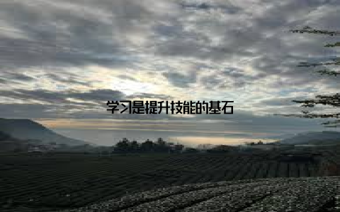 学习是提升技能的基石