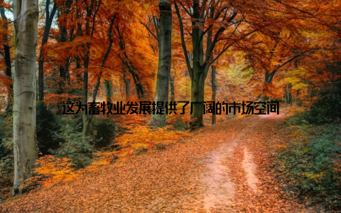 这为畜牧业发展提供了广阔的市场空间