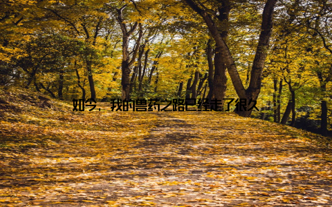 如今, 我的兽药之路已经走了很久