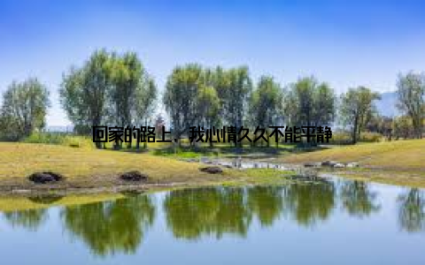 回家的路上, 我心情久久不能平静