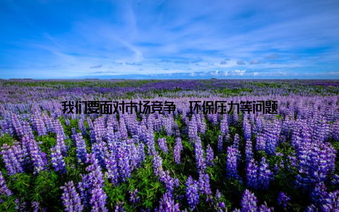 我们要面对市场竞争、环保压力等问题