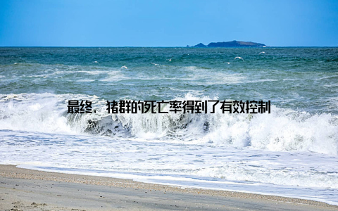 最终, 猪群的死亡率得到了有效控制