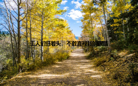 工人们低着头, 不敢直视我的眼睛