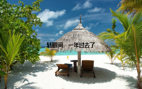 转眼间, 一年过去了