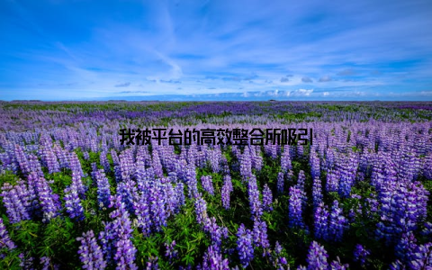 我被平台的高效整合所吸引