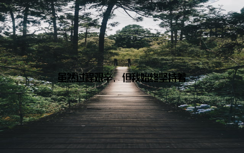 虽然过程艰辛, 但我始终坚持着