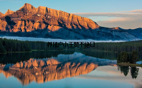 养殖户小王赞不绝口