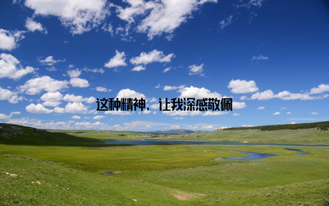 这种精神, 让我深感敬佩