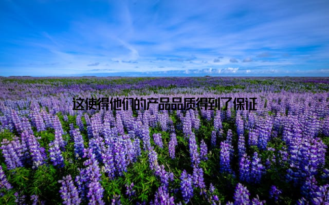 这使得他们的产品品质得到了保证
