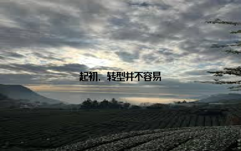 起初, 转型并不容易