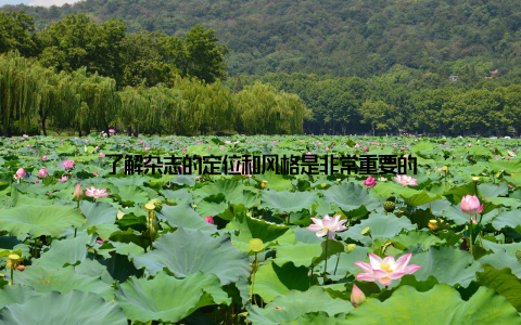 了解杂志的定位和风格是非常重要的