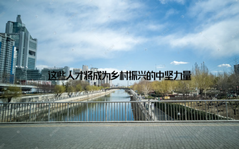 这些人才将成为乡村振兴的中坚力量