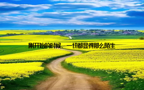 刚开始的时候, 一切都显得那么陌生