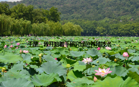 于是, 我开始着手研究绿色养殖技术