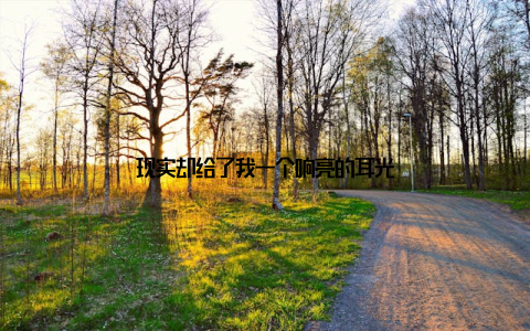 现实却给了我一个响亮的耳光