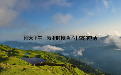 那天下午, 我准时接通了小李的电话