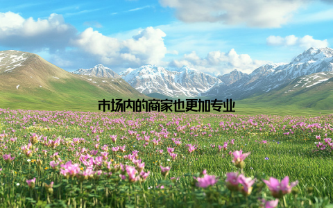 市场内的商家也更加专业