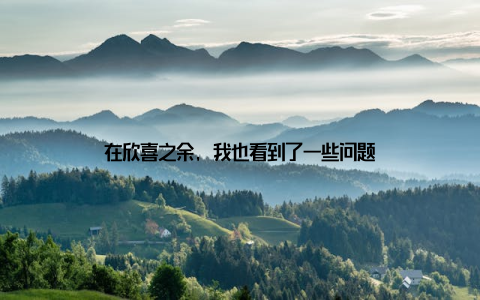 在欣喜之余, 我也看到了一些问题