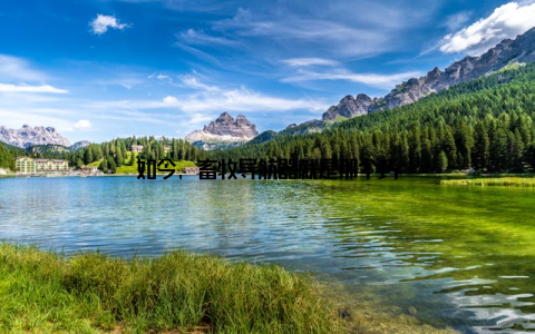 如今, 畜牧导航器就是那个巧