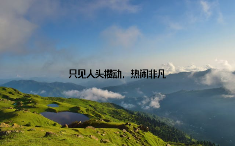 只见人头攒动, 热闹非凡