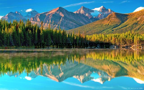 选择一个好的畜牧品种至关重要