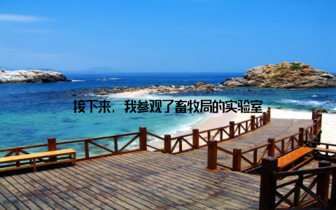 接下来, 我参观了畜牧局的实验室