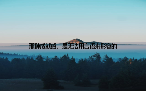 那种成就感, 是无法用言语来形容的