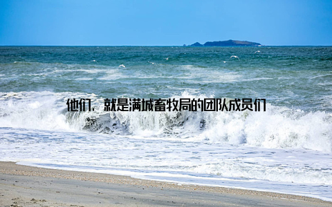 他们, 就是满城畜牧局的团队成员们