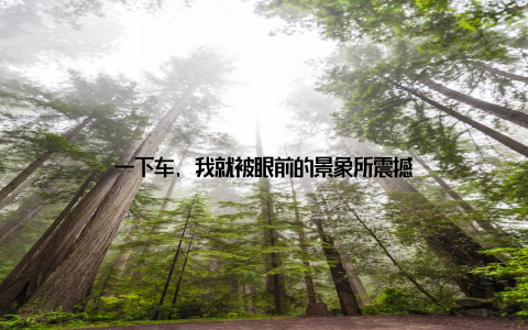 一下车, 我就被眼前的景象所震撼