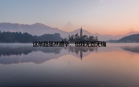 这条路虽然艰辛, 但我无怨无悔