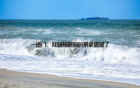 一进门, 我就被眼前的景象震撼了