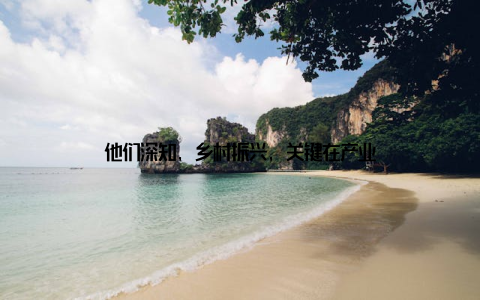 他们深知, 乡村振兴, 关键在产业