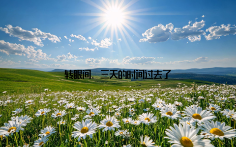转眼间, 三天的时间过去了