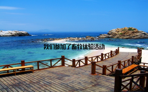 我们参加了畜牧体验活动