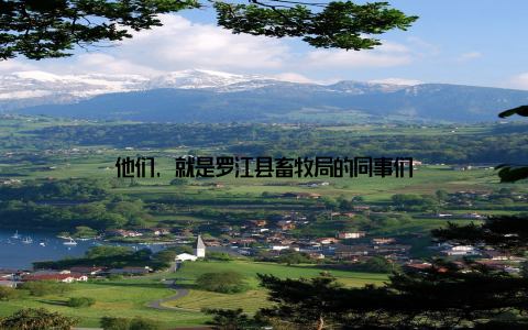 他们, 就是罗江县畜牧局的同事们