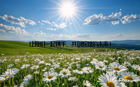让我们一起携手, 共创辉煌的未来!