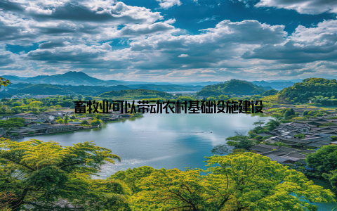 畜牧业可以带动农村基础设施建设