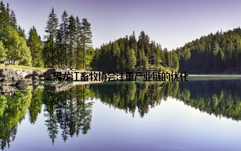 黑龙江畜牧协会注重产业链的优化