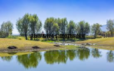 这就是畜牧业价格涨跌的秘密