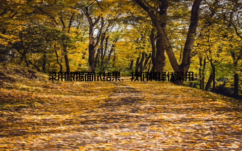 录用根据面试结果, 我们将择优录用