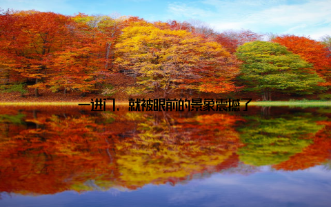 一进门, 就被眼前的景象震撼了