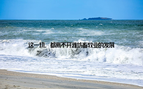 这一切, 都离不开潍坊畜牧业的发展